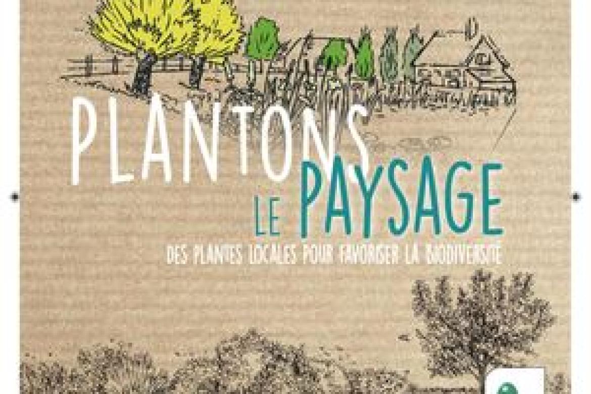 Projet de plantation