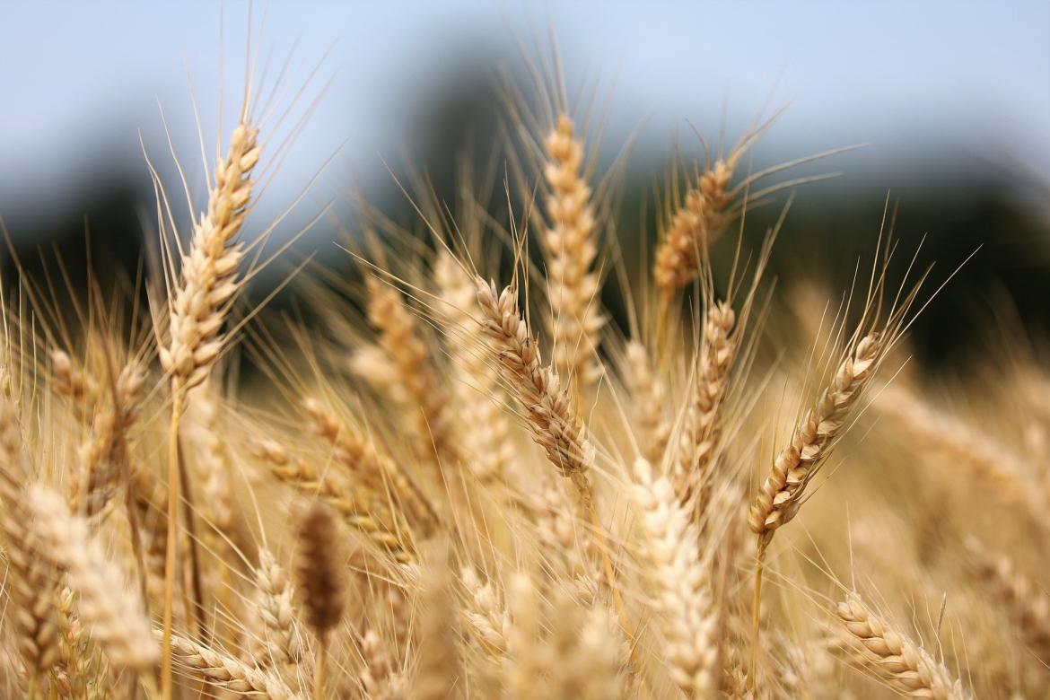 Annuaire des Agriculteurs