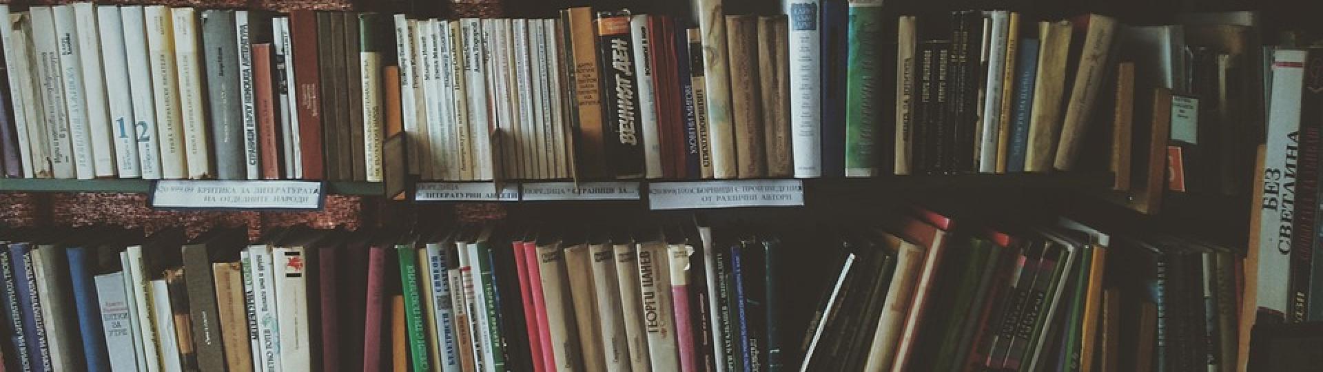 Cabane à livres