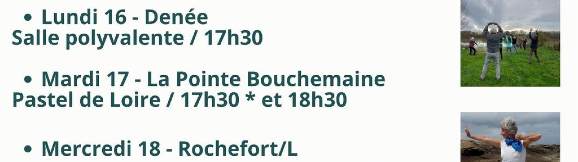 Cours d'essai gratuit de Qi Gong Cours d'essai gratuit de Qi Gong