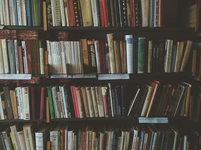 Cabane à livres