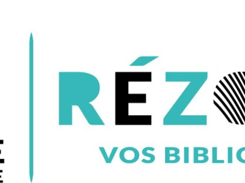 Nouveaux livres audio, livres en grands caractères et mangas jeunesse à votre disposition